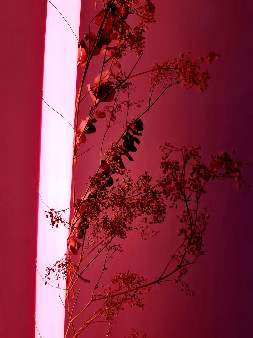 The impression of almost burning heat allows the dry plants to come alive and deep.