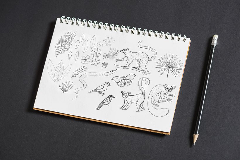Rough sketch