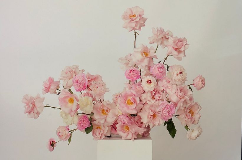 Annemarie Börlind | Botanical Set Design  1