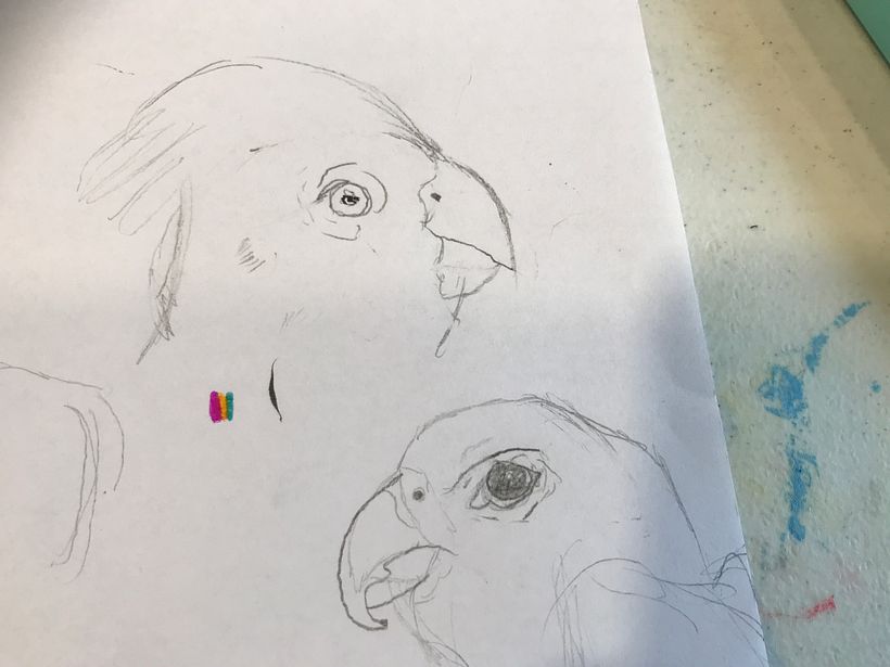 My project for course: Daily Sketching for Creative Inspiration 2