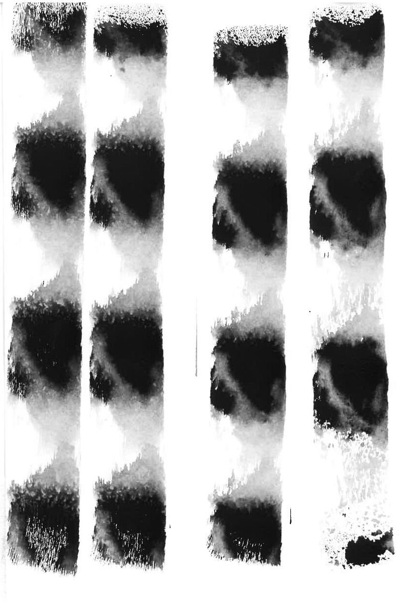 Textura feita com rolinho de tinta pequeno