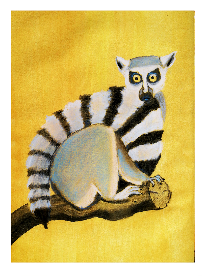 My project for course: Drawing from Real Life: Learn to Observe Reality 37