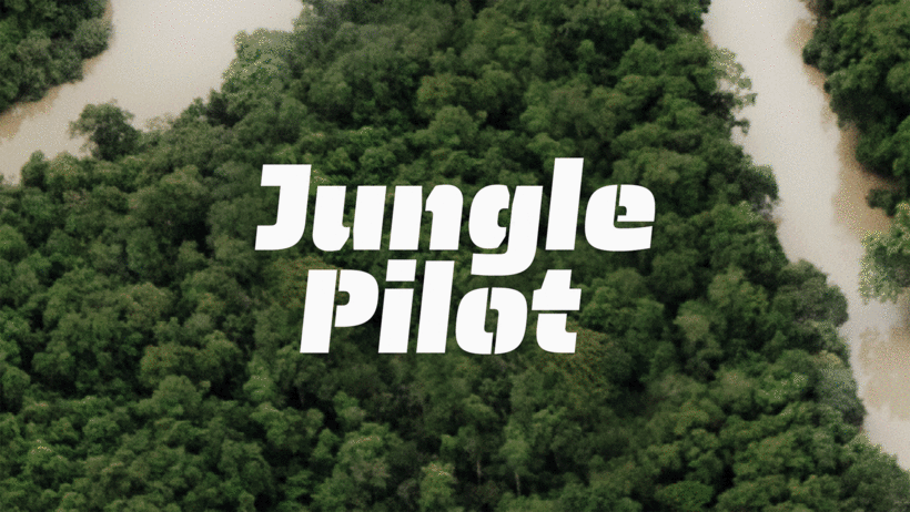 Álvaro Franca is an expert graphic designer and lettering artist.