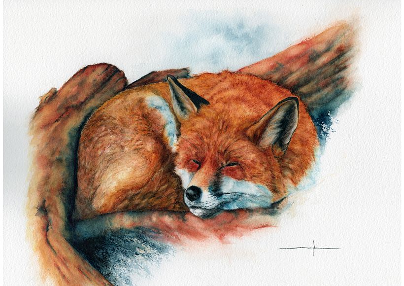 My project for course: Expressive Animal Portraits in Watercolor 1