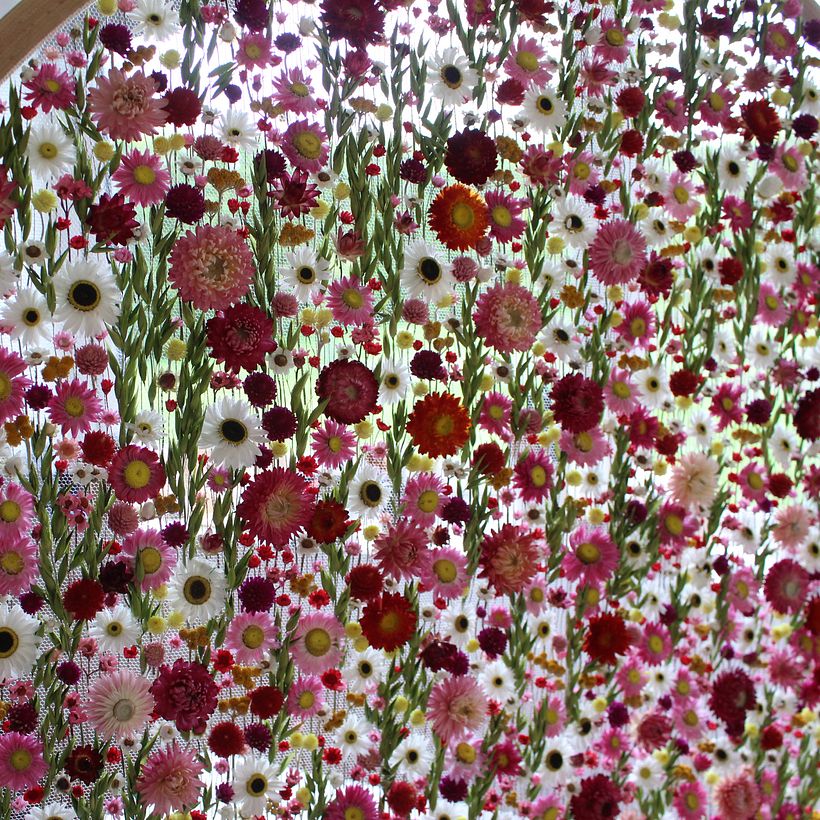 Large scale dried flower embroidery typestry private art commission  3