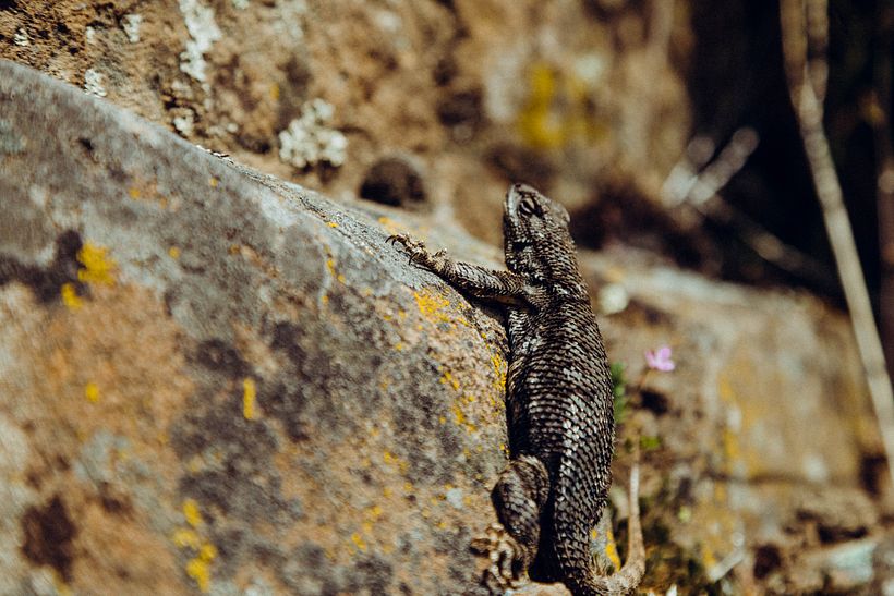 HorseThief Butte Rock Climbing 4