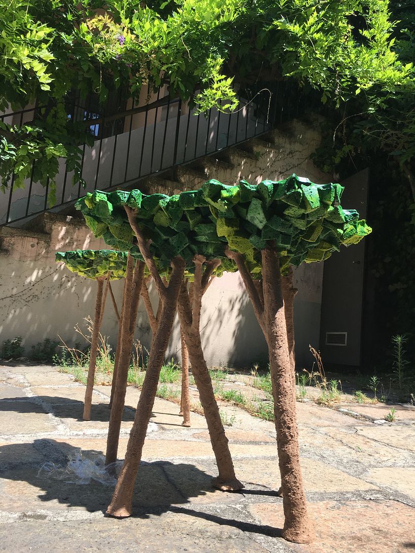 © Matteo Pellegrino