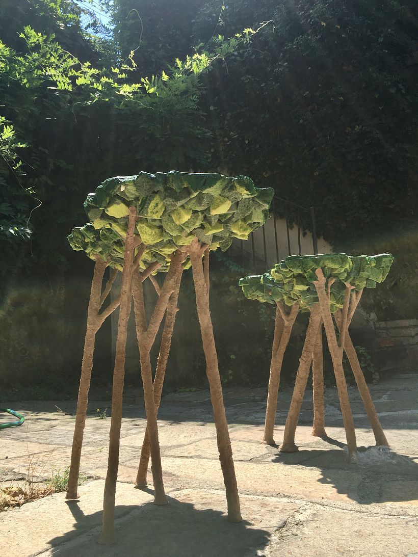 © Matteo Pellegrino