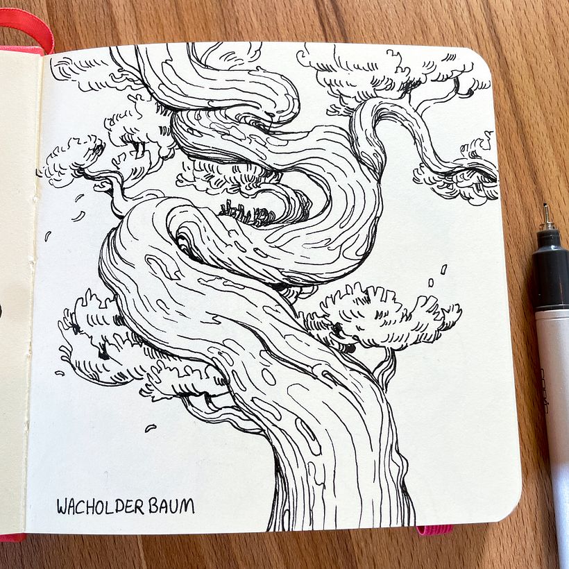 Juniper tree study from photo reference