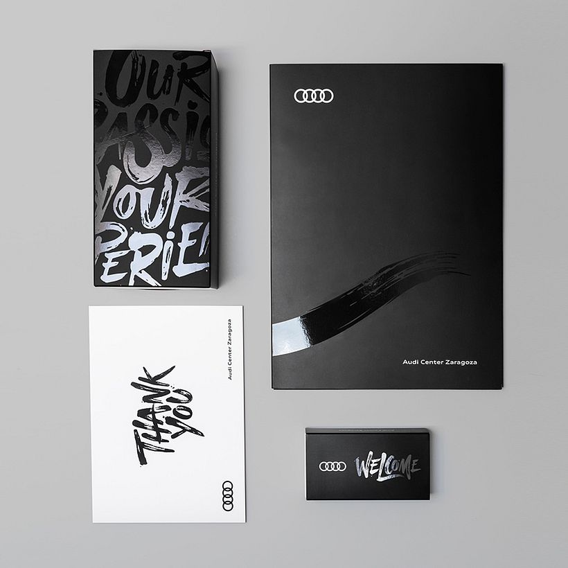 Audi Experience 11