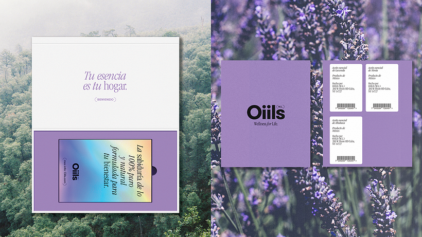 OIILS 7