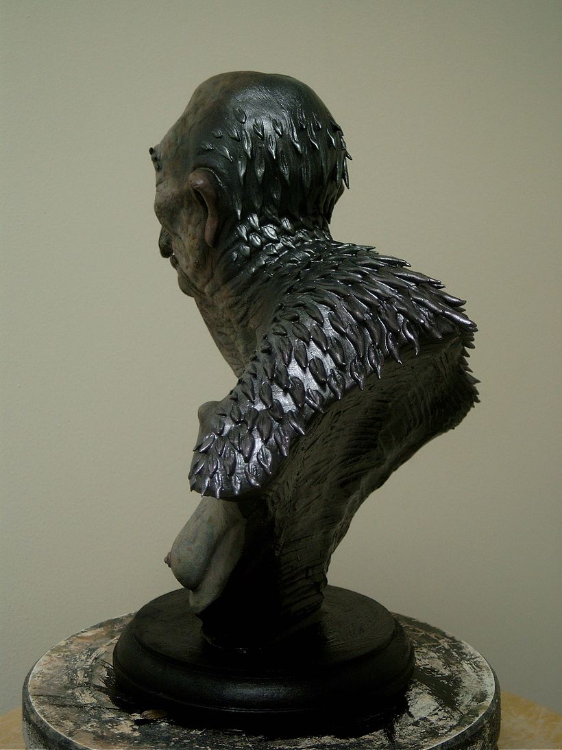 Prince Caspian (Chronicles of Narnia) Bird Hag - Kino, Video und TV