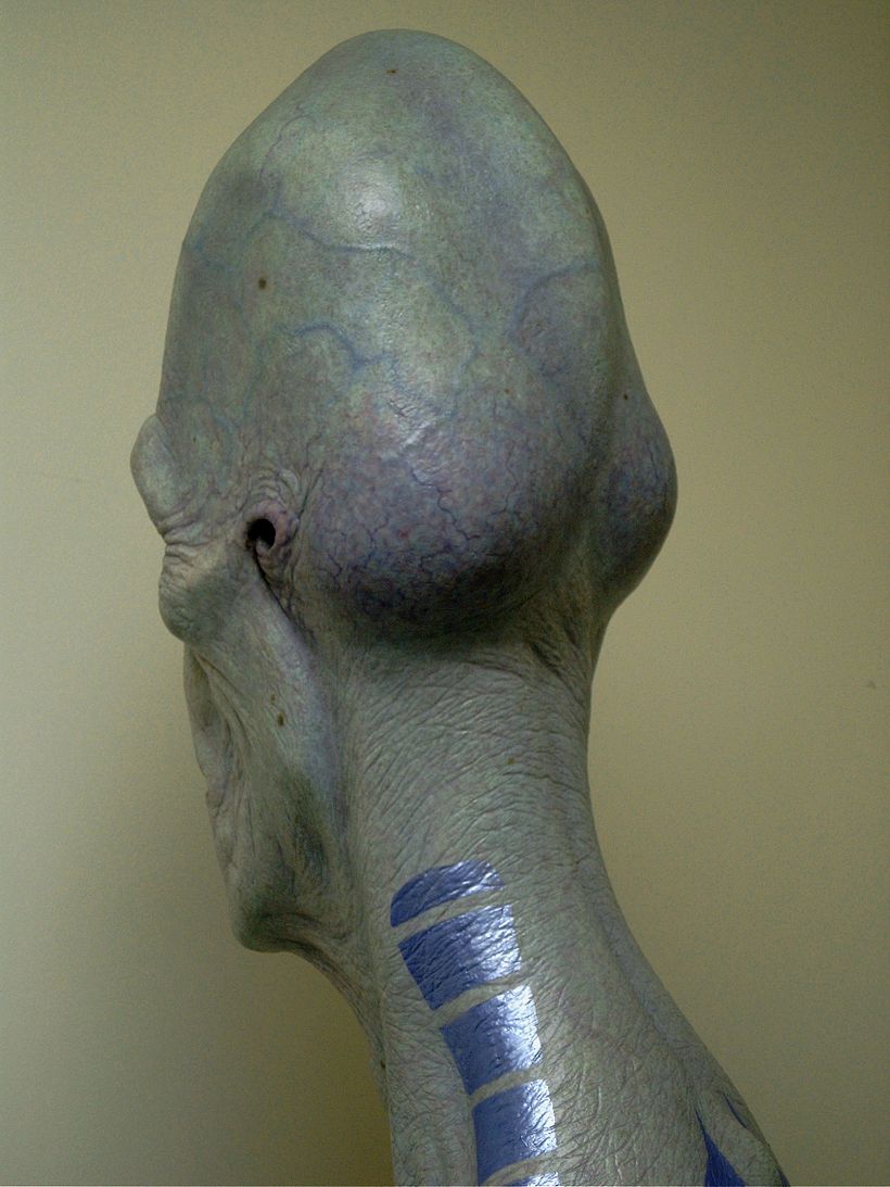 Calaracian Alien Bust 9