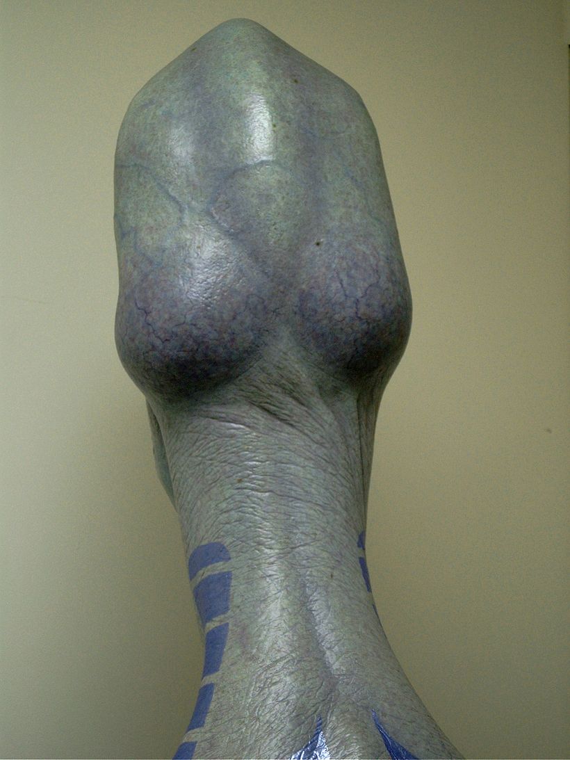Calaracian Alien Bust 10