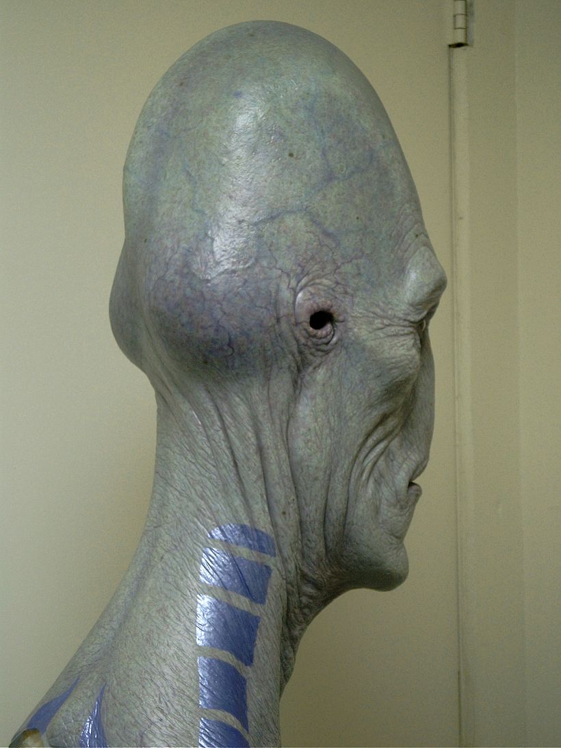 Calaracian Alien Bust 11