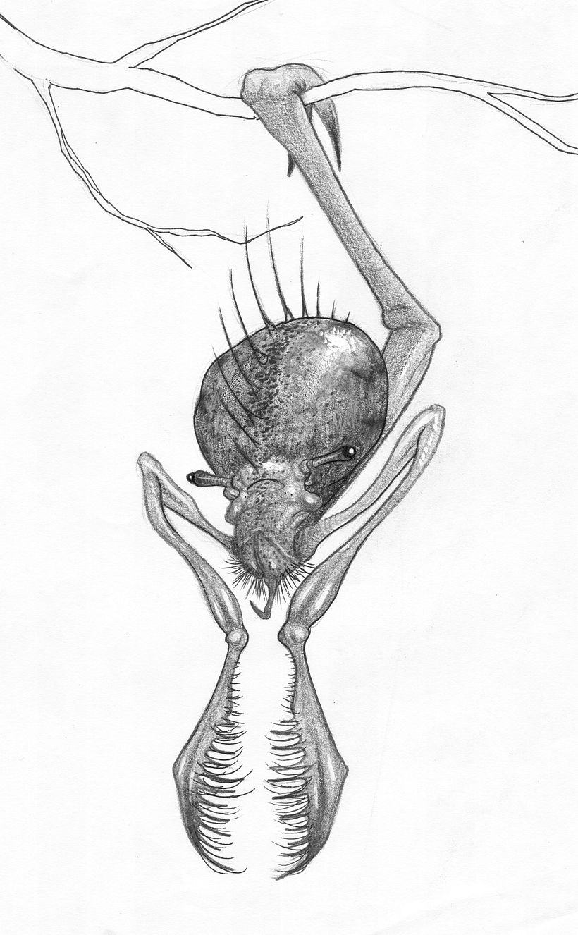 It hides in the trees, waiting for you to walk by with your juicy friends....