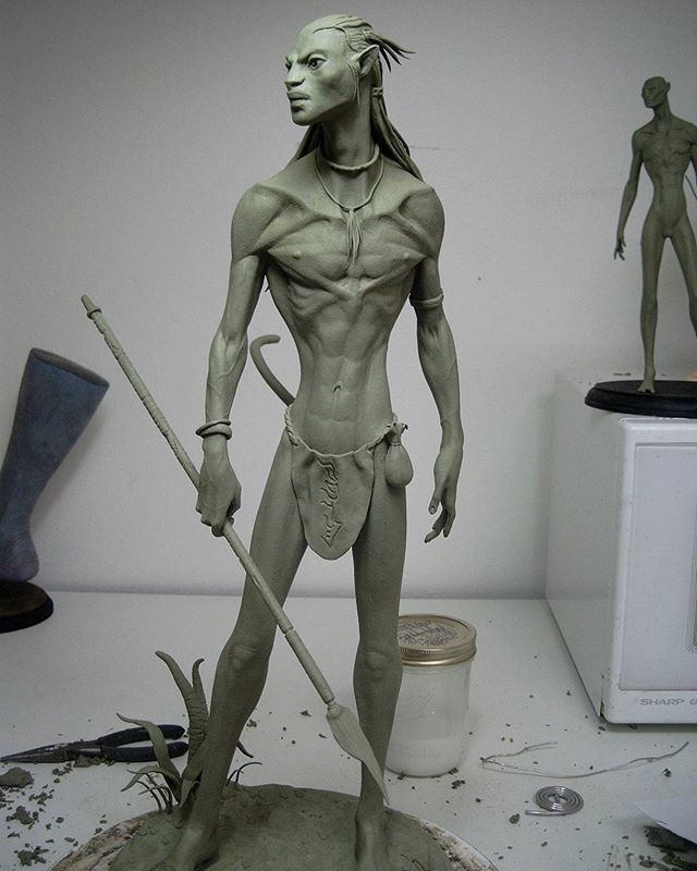 Tsu-Tey anatomy study