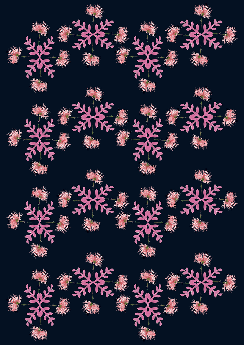 Meu projeto do curso: Desenho e composição de patterns têxteis 2
