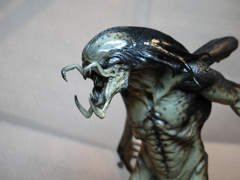 AVP 2 9