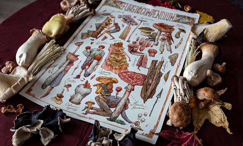 The Fungi Compendium 4