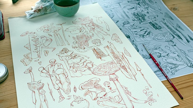 The Fungi Compendium 6