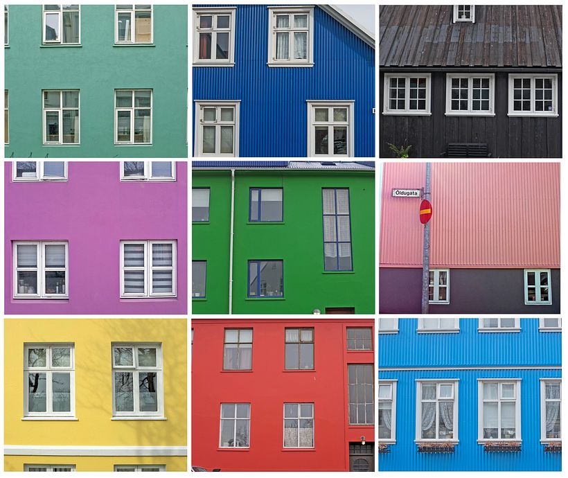 The Characters of Reykjavik 1