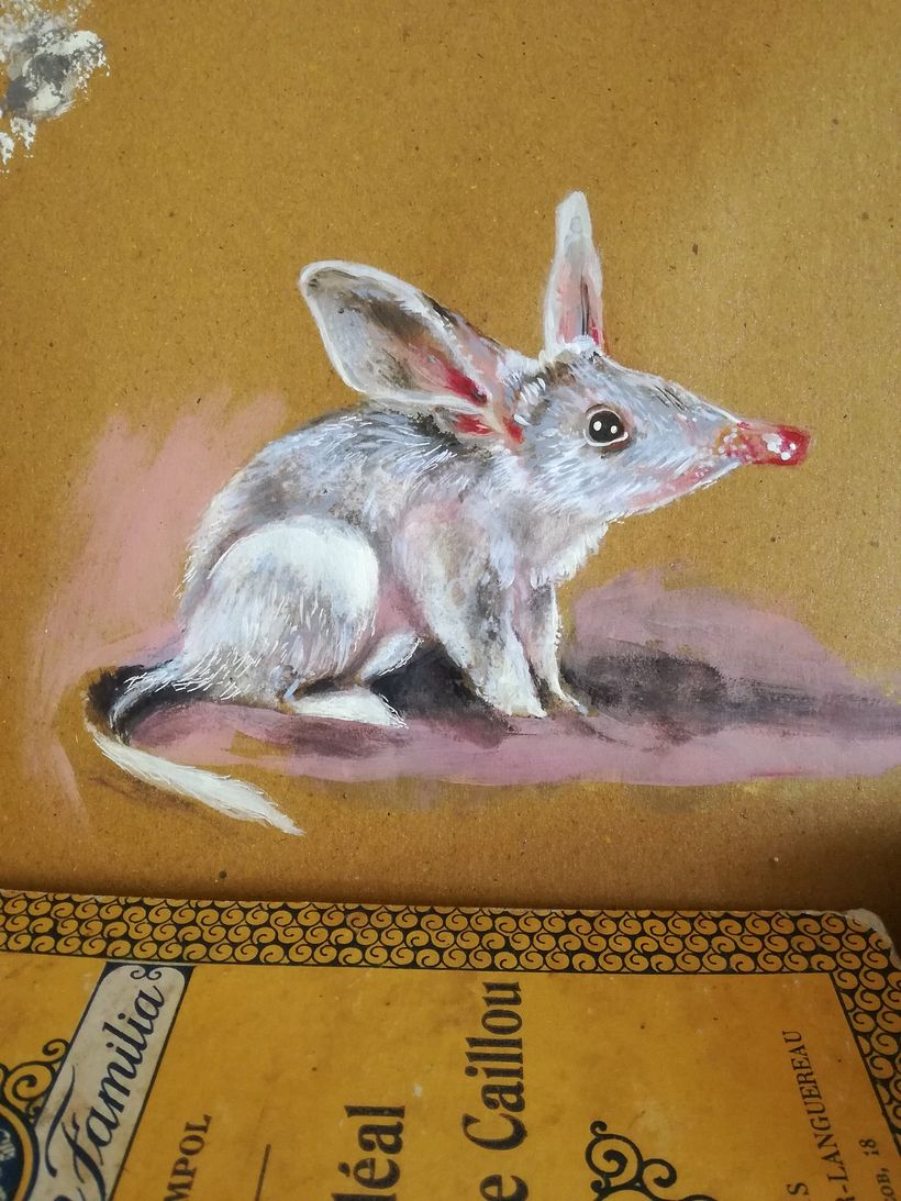 Bilby_je découvre l'acrylique
