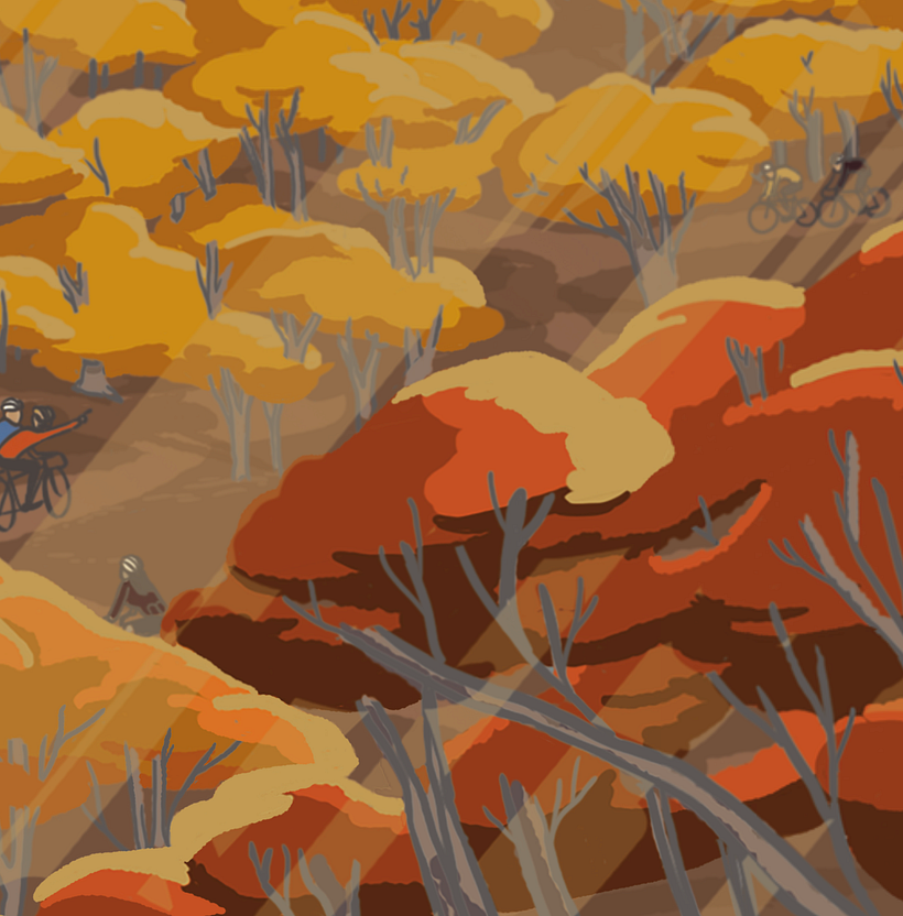 Rapha silk scarf collection 10