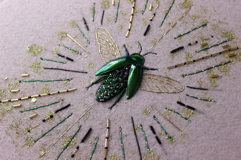 Jewel Beetle  1