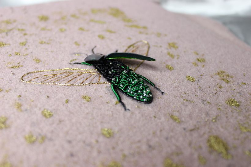 Jewel Beetle  2