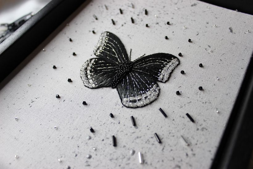 White Admiral Butterfly 1