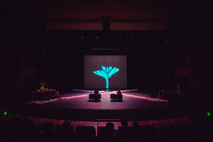 FUNGHIVERSUM - Visual identity for German theater piece for kids and adults - Diseño