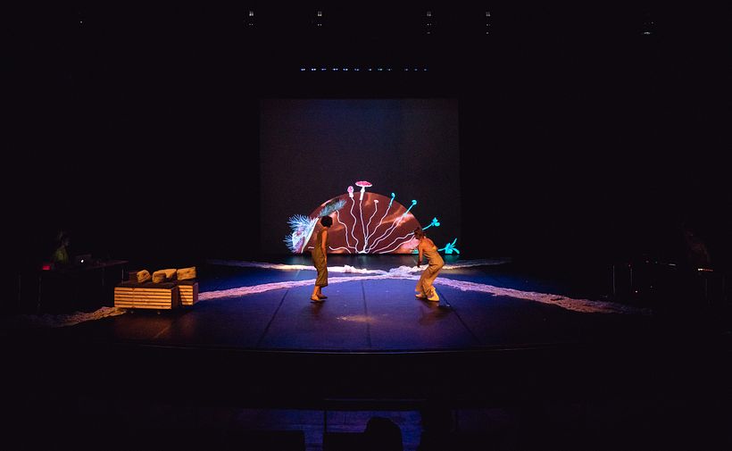 FUNGHIVERSUM - Visual identity for German theater piece for kids and adults - Diseño