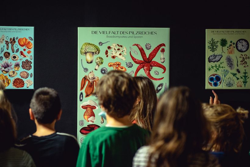 FUNGHIVERSUM - Visual identity for German theater piece for kids and adults - Diseño