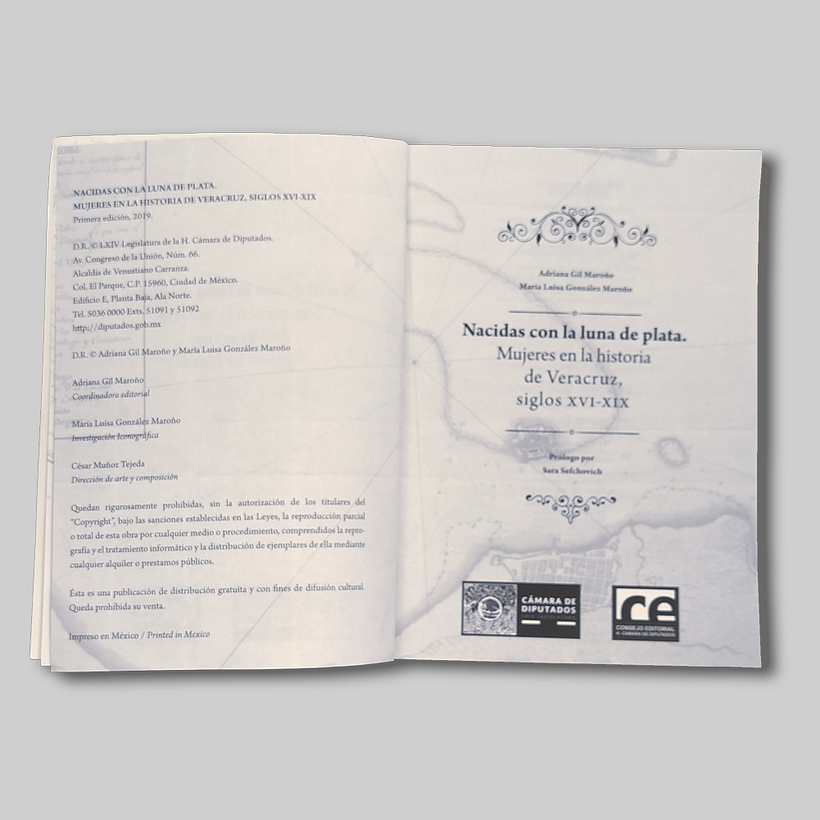 El diseño de la página legal y portadilla comparten el mimo fondo.