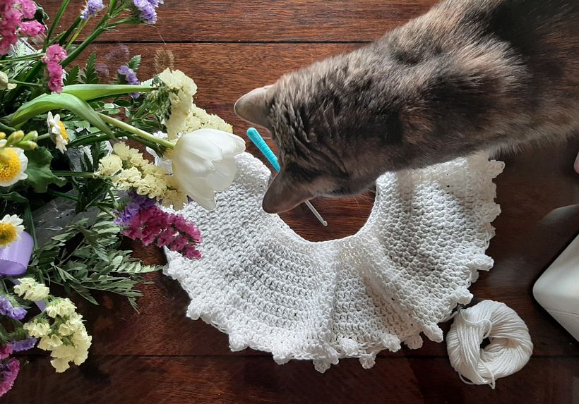 Pullover topdown circolare 4