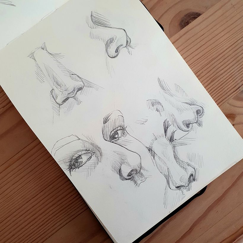 Noses 2