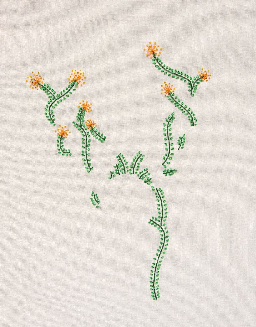 Cabecera Días Mejores 9