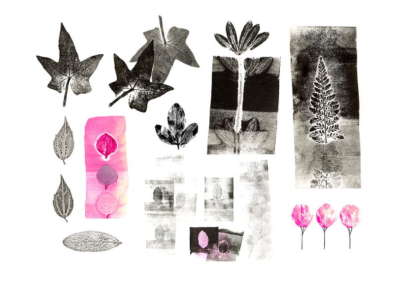 Experimenting with Unexpected Materials (Adolfo Serra) 2