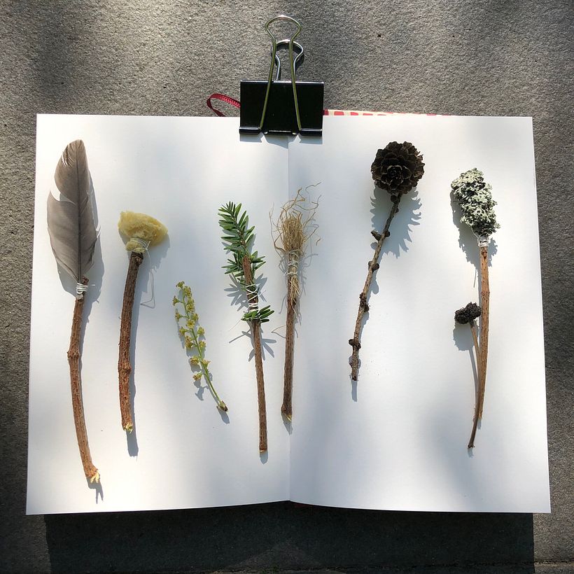 Experimenting with Unexpected Materials (Adolfo Serra) 8