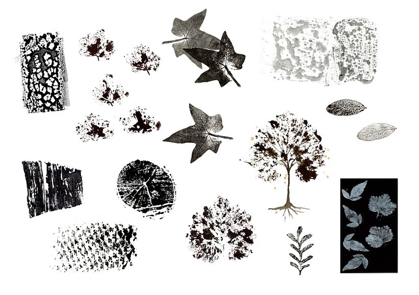 Experimenting with Unexpected Materials (Adolfo Serra) 7