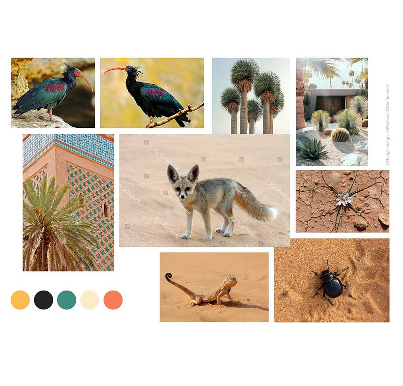 Marokkaans bioompatroonontwerp 2