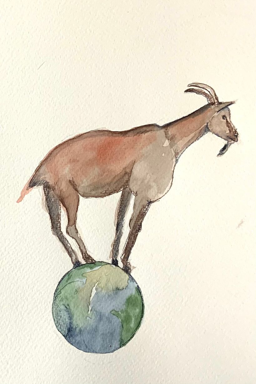 Mein Kursprojekt: Natur-Illustration: Eine kreative Erkundungsreise 4