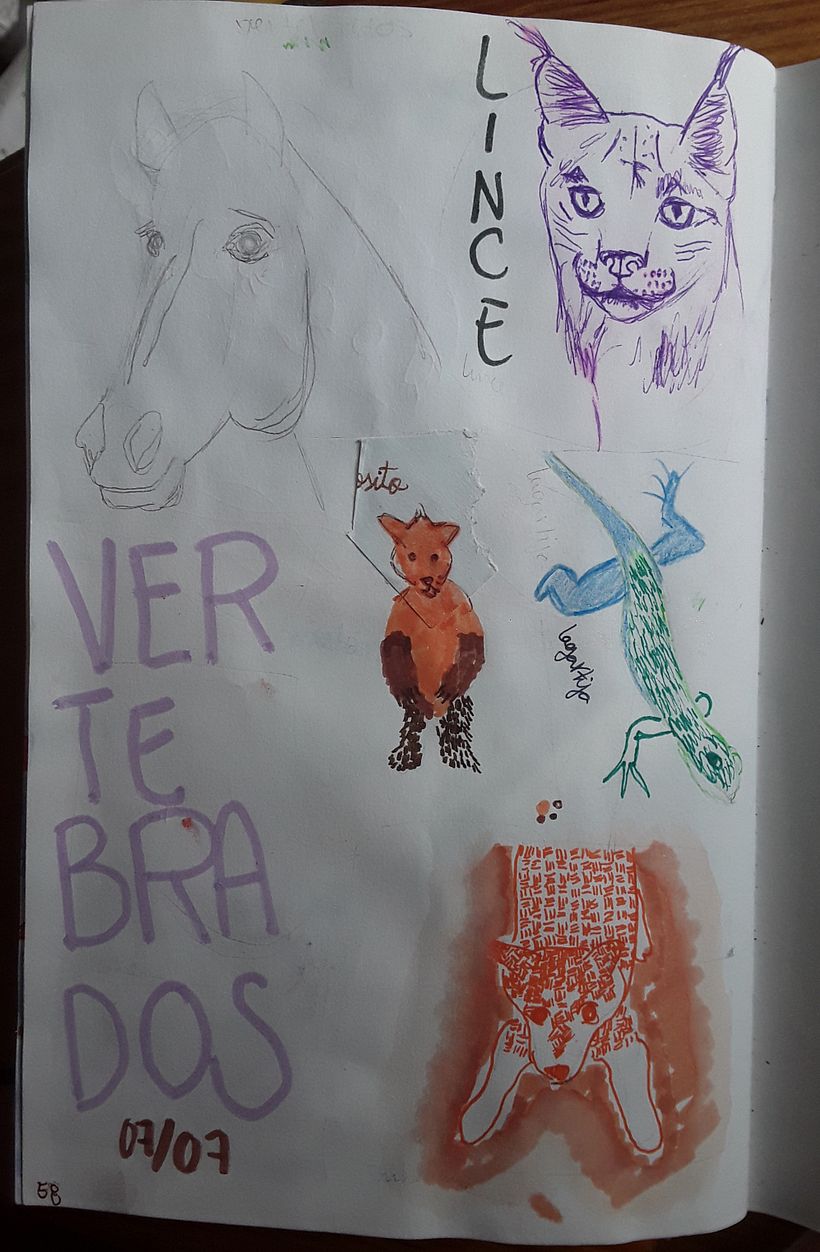 Mi proyecto del curso: De principiante a superdibujante 13