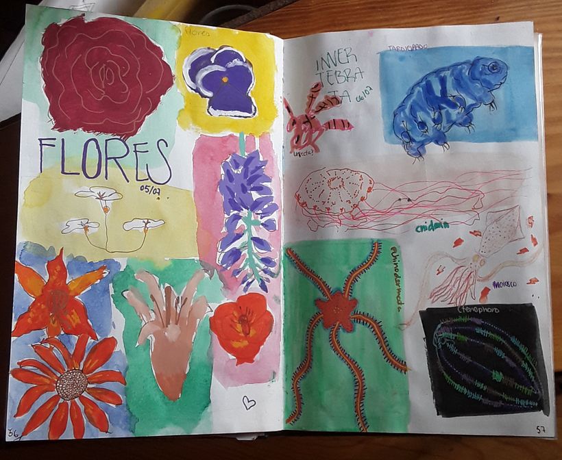 Mi proyecto del curso: De principiante a superdibujante 14