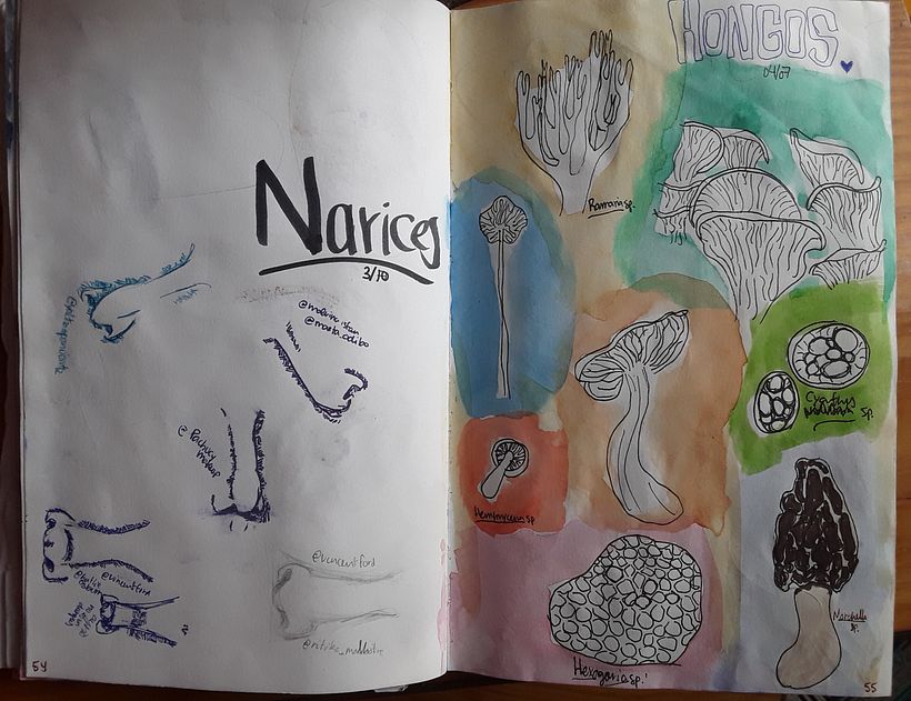 Mi proyecto del curso: De principiante a superdibujante 15