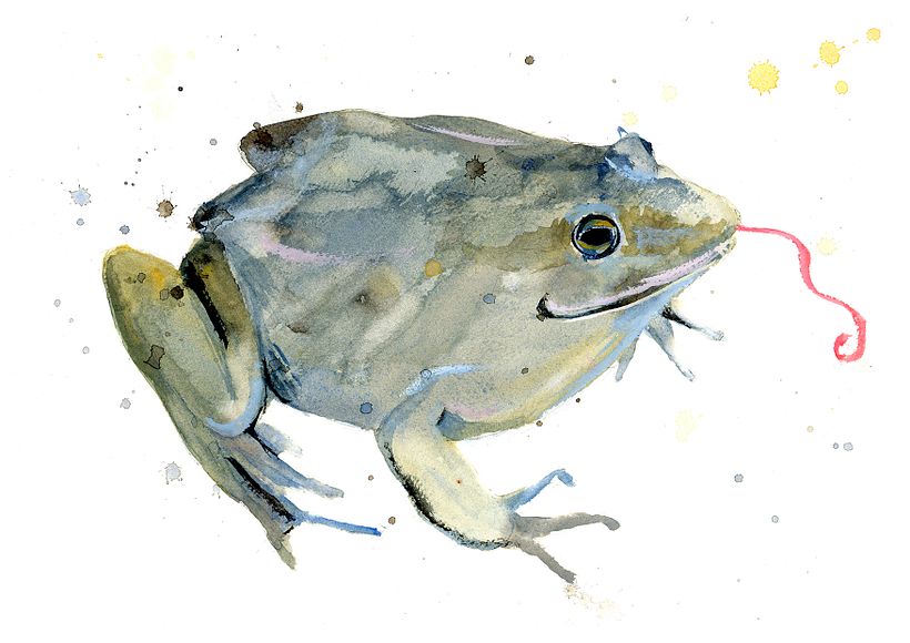 My project for course: Creative Illustration Techniques with Gouache 6