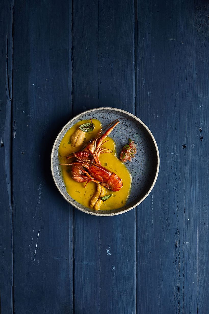 Camarón - Luz artificial