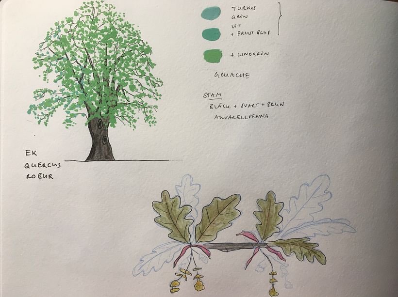 My project for course: Botanical Watercolor Sketchbook 3