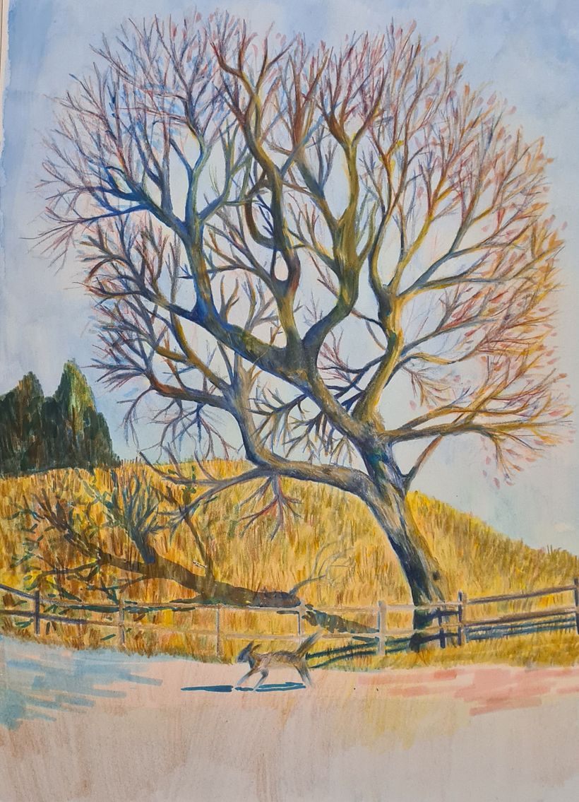 My project in Sketchbook Landscapes: A Colorful Approach course 7